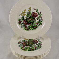 Copeland Spode Cactus Flower Plates, set/6